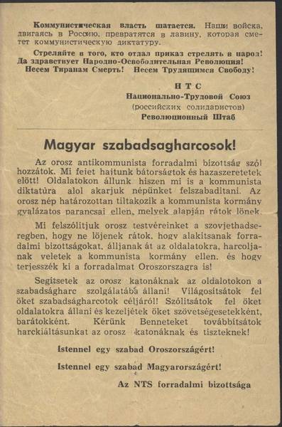NFS-szorolap-2.jpg