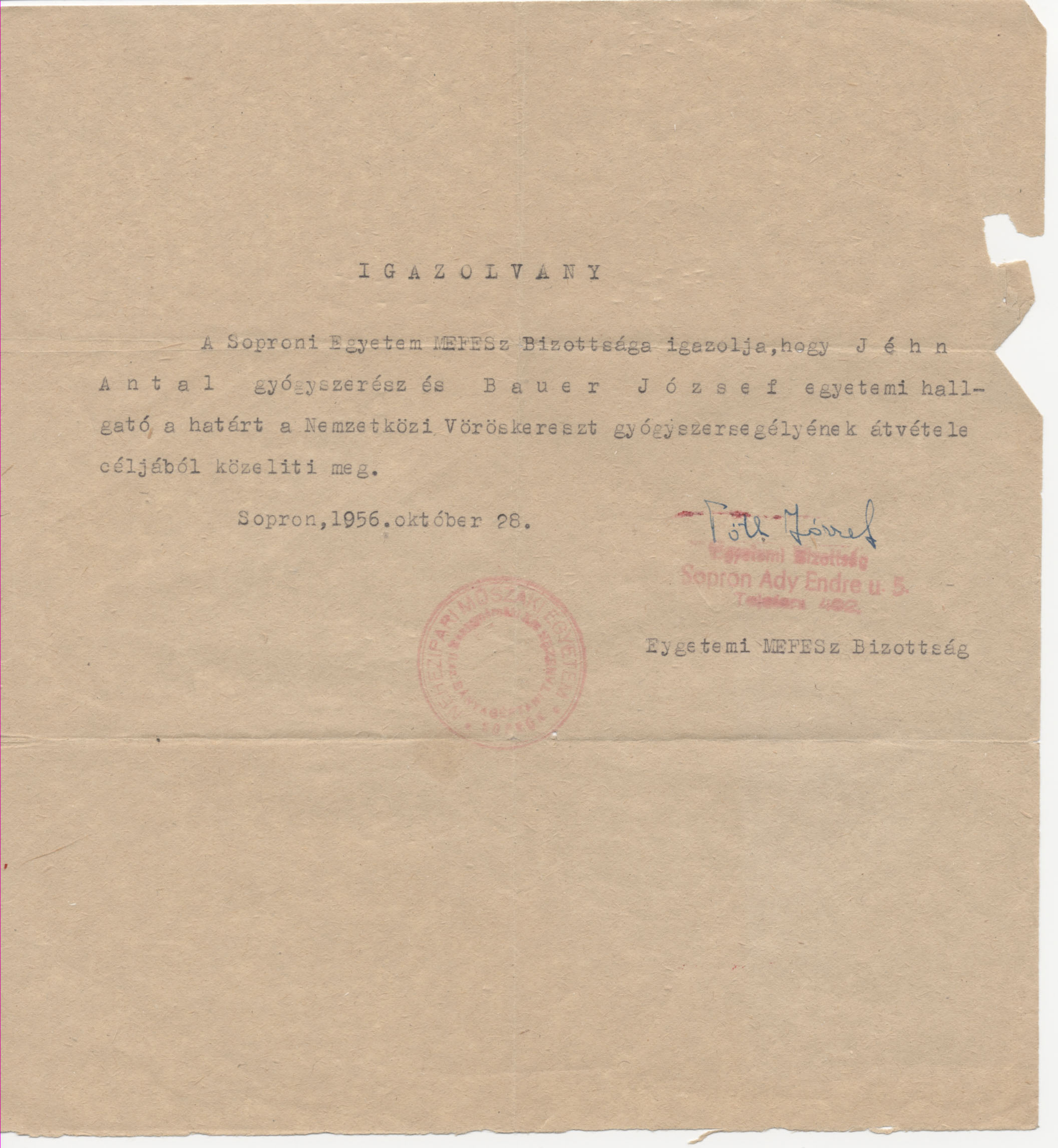 Jehn_Antal_igazolvany_1956.jpg
